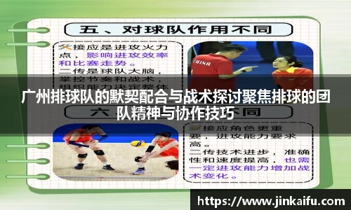 广州排球队的默契配合与战术探讨聚焦排球的团队精神与协作技巧